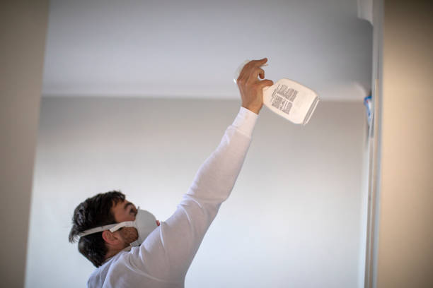 Best Mold Testing  in Vandalia, MO
