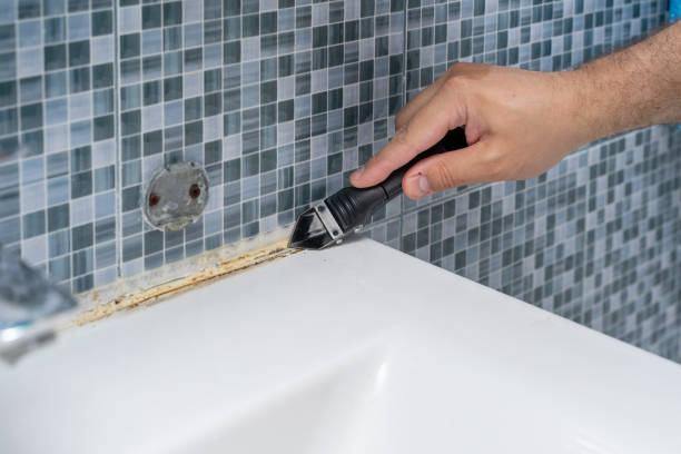 Best Same-Day Mold Removal  in Vandalia, MO