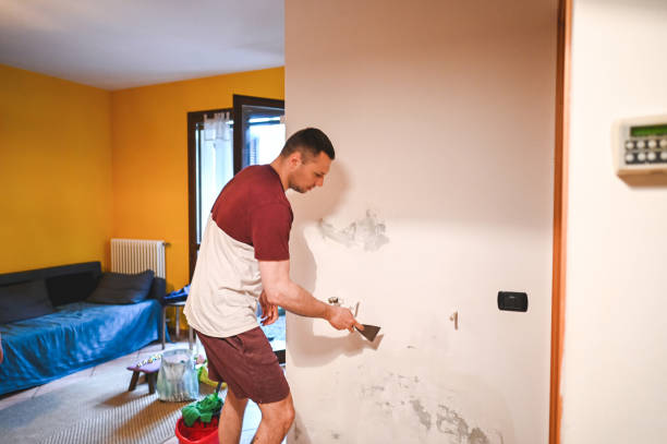 Best Mold Damage Repair  in Vandalia, MO
